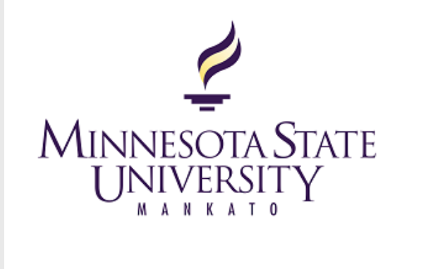 Mankato D2L Brightspace